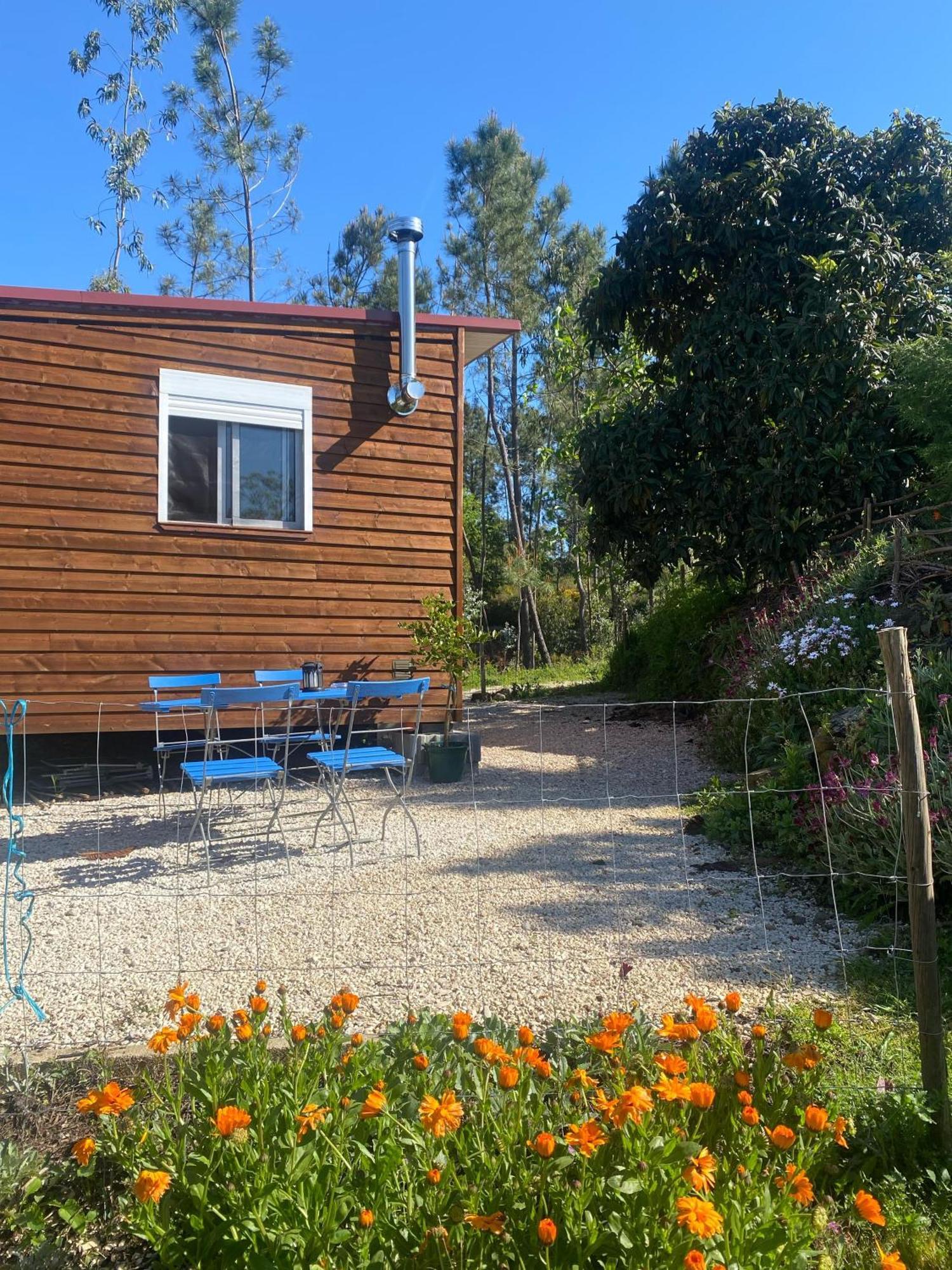 Casa Carini Villa Sertã Exterior photo